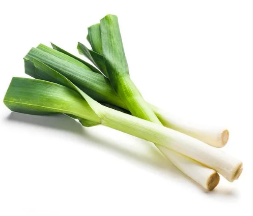 Screenshot 2025-09-23 003532